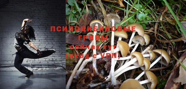 молекула духа Алзамай