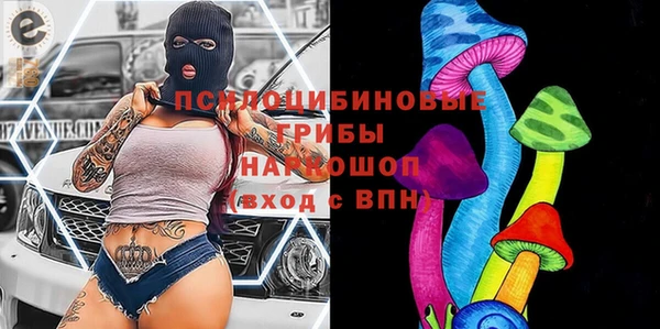 молекула духа Алзамай